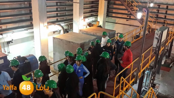 shamela ta7liya water (2).jpg